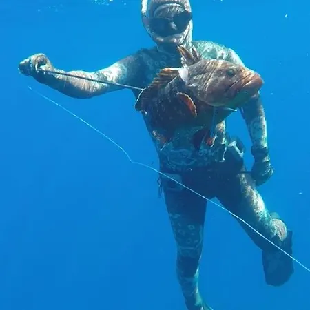 Indigo * Pieta