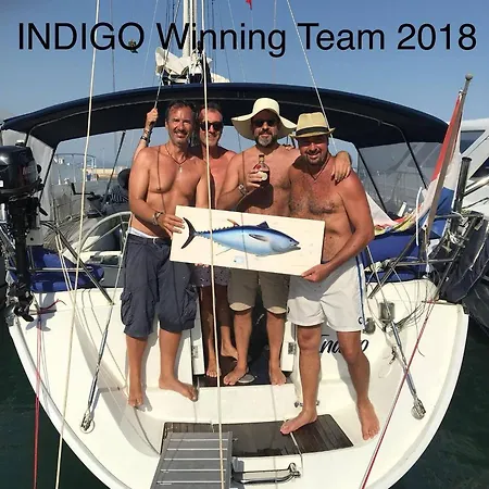 Indigo * Pieta
